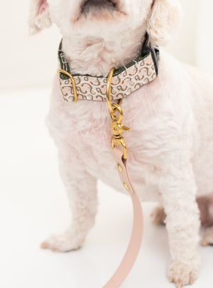 Slithering Snakes Canvas Dog Collar (1" and 1.5" only)