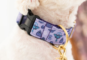 Mystic Vibes Canvas Dog Collar (1" and 1.5" only)