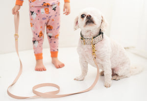 Slithering Snakes Canvas Dog Collar (1" and 1.5" only)