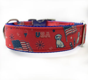 Pawty in the USA Canvas Dog Collar (1" and 1.5" only)