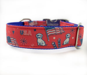 Pawty in the USA Canvas Dog Collar (1" and 1.5" only)