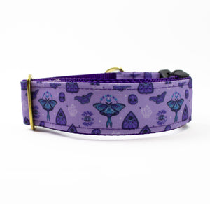 Mystic Vibes Canvas Dog Collar (1" and 1.5" only)