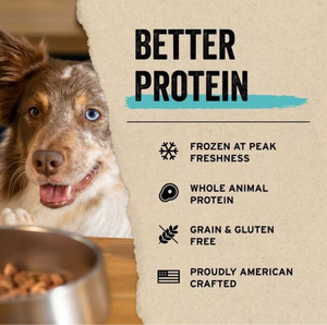 Freeze Dried Minnow Dog Treats by Vital Essentials, 1oz. bag