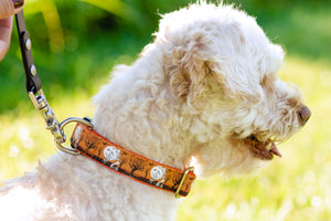 Skeleton Friends Canvas Dog Collar (1" and 1.5" only)