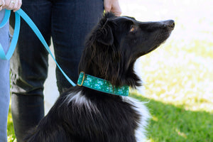 Mushroom Forest Canvas Dog Collar (1" and 1.5" only)