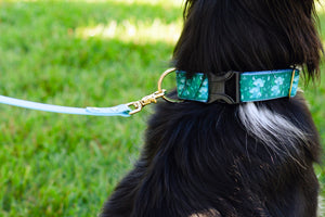 Mushroom Forest Canvas Dog Collar (1" and 1.5" only)
