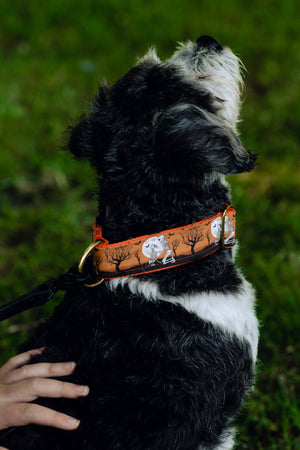 Skeleton Friends Canvas Dog Collar (1" and 1.5" only)