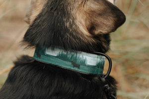 Superior Splendor Canvas Dog Collar (1" and 1.5" only)