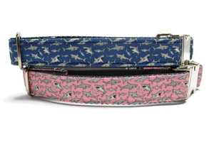 Blue Shark Canvas Dog Collar