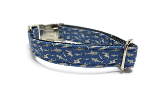 Blue Shark Canvas Dog Collar
