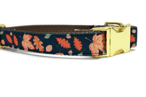 Fall Leaves Canvas Dog Collar