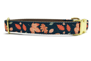 Fall Leaves Canvas Dog Collar