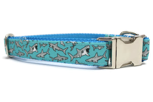 Teal Shark Canvas Dog Collar