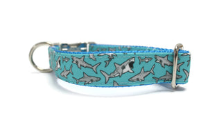 Teal Shark Canvas Dog Collar
