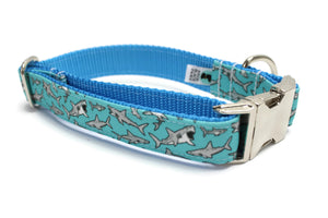 Teal Shark Canvas Dog Collar