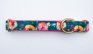 Harvest Blooms Canvas Dog Collar