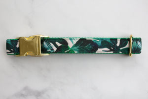 Tropical Leaves Canvas Dog Collar