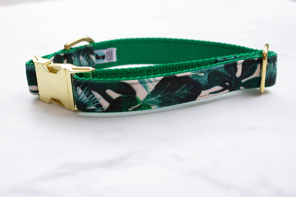 Tropical Leaves Canvas Dog Collar