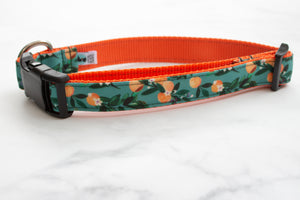 Teal Oranges Canvas Dog Collar