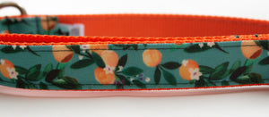Teal Oranges Canvas Dog Collar