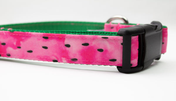 Watermelon Canvas Dog Collar