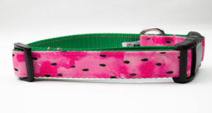 Watermelon Canvas Dog Collar