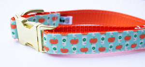 Mint Pumpkin Spice Latte Canvas Dog Collar