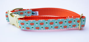Mint Pumpkin Spice Latte Canvas Dog Collar
