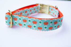 Mint Pumpkin Spice Latte Canvas Dog Collar