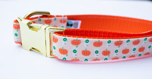 Peach Pumpkin Spice Latte Canvas Dog Collar