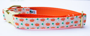 Peach Pumpkin Spice Latte Canvas Dog Collar