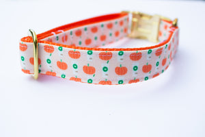 Peach Pumpkin Spice Latte Canvas Dog Collar