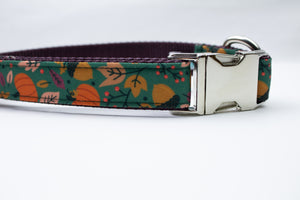 Autumn Day Canvas Dog Collar (1" and 1.5" only)