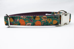 Autumn Day Canvas Dog Collar (1" and 1.5" only)