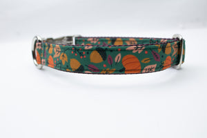 Autumn Day Canvas Dog Collar (1" and 1.5" only)