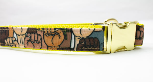 Celebrate Diversity Canvas Dog Collar
