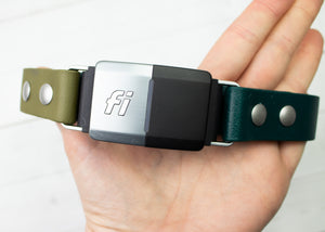 Fi Series 1 & 2 Compatible Multicolored 1" Biothane Dog Collar