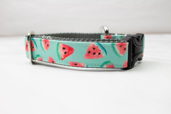 Watercolor Watermelon Canvas Dog Collar