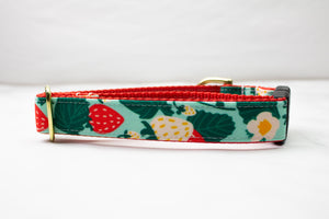Strawberry Patch Canvas Dog Collar