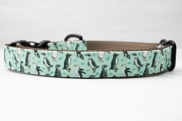 Dancing Penguin Canvas Dog Collar
