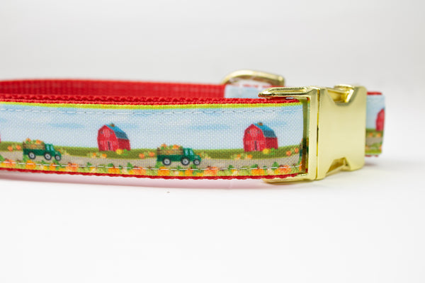 Gene's Pumpkin Patch Canvas Dog Collar (1" and 1.5" only)