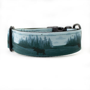 Superior Splendor Canvas Dog Collar (1" and 1.5" only)