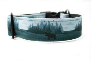 Superior Splendor Canvas Dog Collar (1" and 1.5" only)
