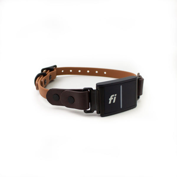 The Tiny 1/2" Fi Series 3 Compatible Biothane Collar - Classic Buckle