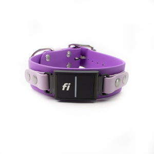 Fi Series 3 Compatible Biothane Collar - Classic Buckle - (Choice of 5/8", 3/4", 1" or 1.5" widths)