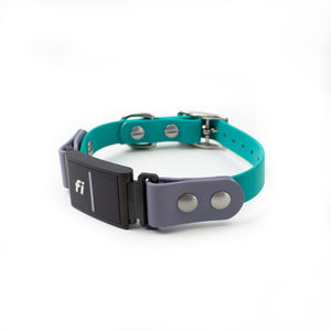 Fi Series 3 Compatible Biothane Collar - Classic Buckle - (Choice of 5/8", 3/4", 1" or 1.5" widths)