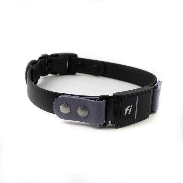 Furmes Kelly Black Leather Collar & Leash, Paws Circle