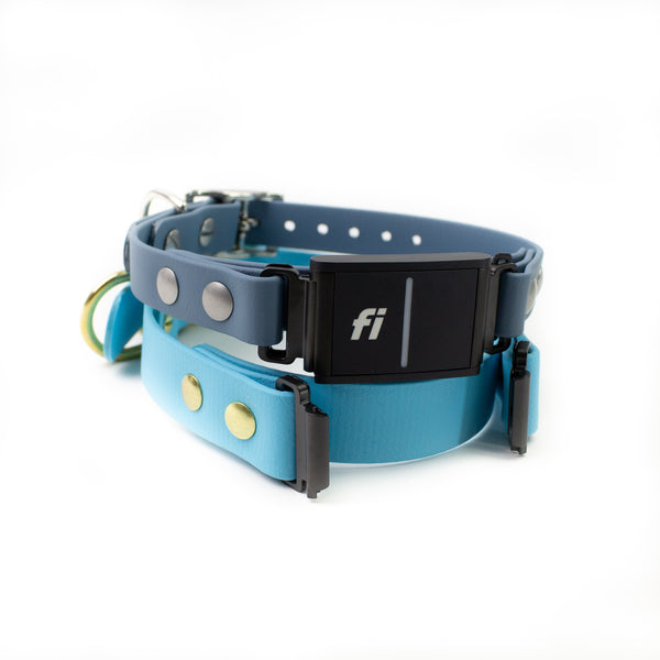 Fi Series 3 Compatible Single Color 3/4” or 1" Biothane Dog Collar