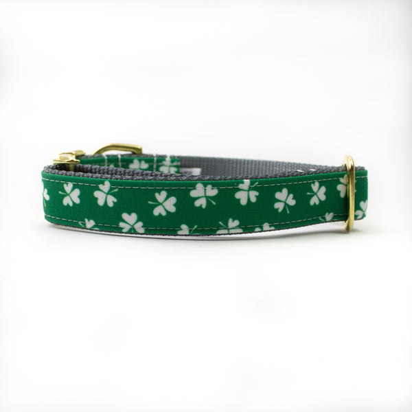 Green Shamrock Canvas Dog Collar