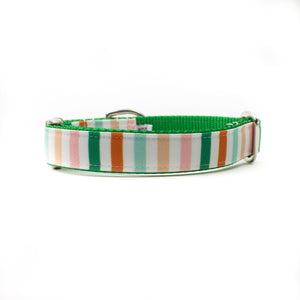 Shamrock Stripe Canvas Dog Collar